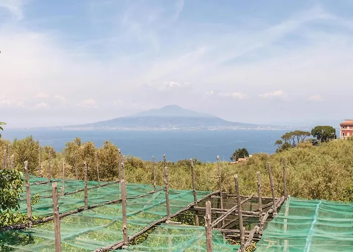 Hébergement de vacances Dell'olivo *