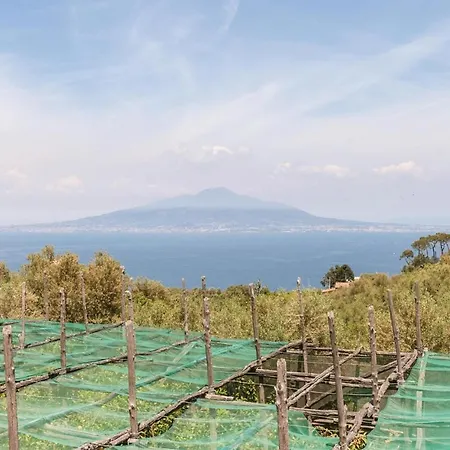 Tatil Evi Dell'olivo *